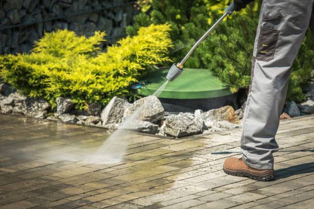 Best Animal Enclosure Cleaning  in Hephzibah, GA